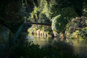 Christchurch Botannical Gardens
