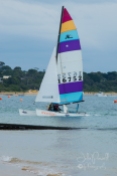 Cowes-0203