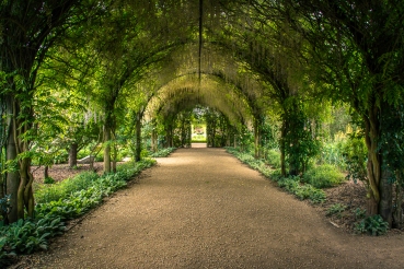 Alowyn Gardens