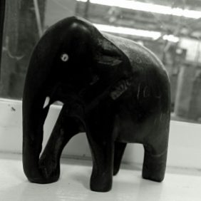 Elephant statue in my Office