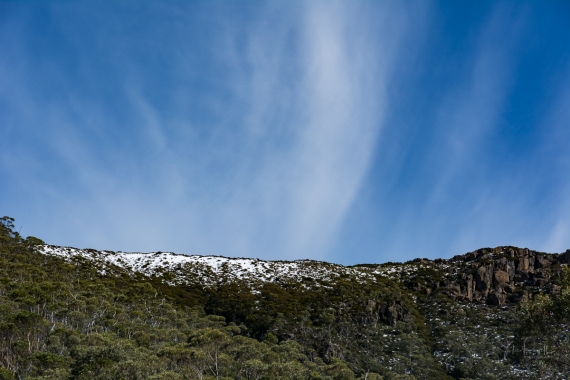 Wombat Moor, Mount Field NP