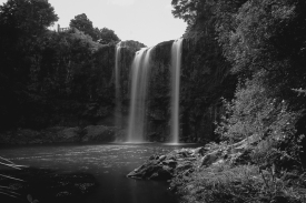 JuliePowell_Whangerei Falls-13