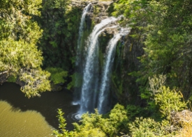 JuliePowell_Whangerei Falls-5