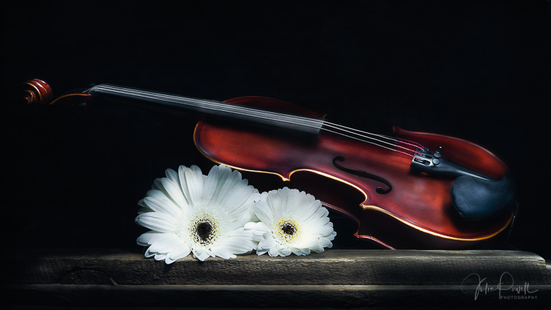 Julie Powell_Violin-2